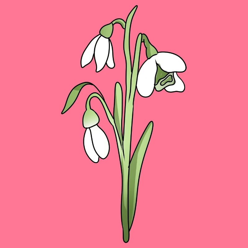 snowdrop