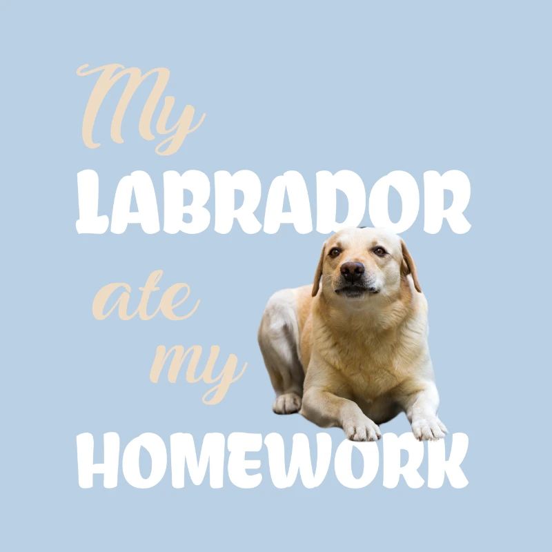 Devoirs du Labrador
