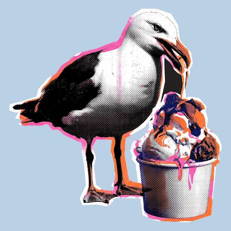 Möwe Isst Eis