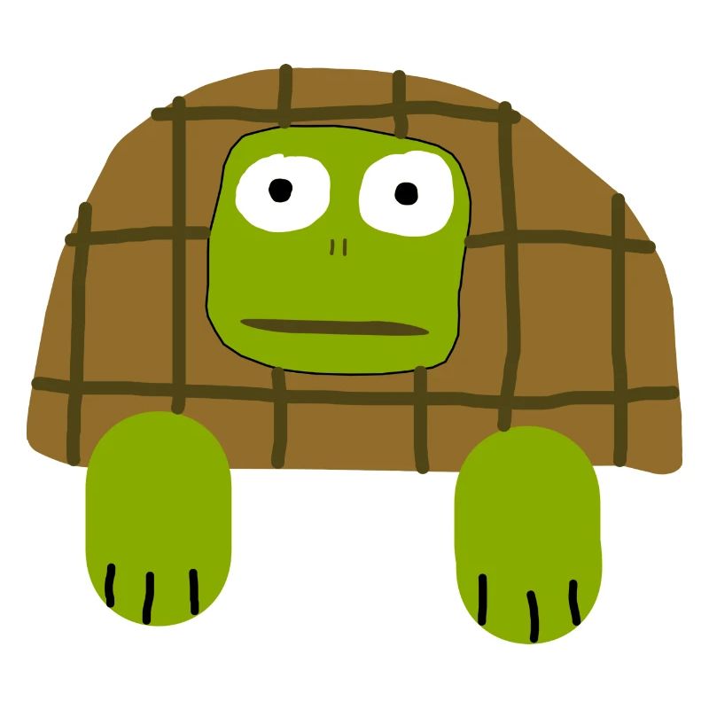 Ugly Turtle