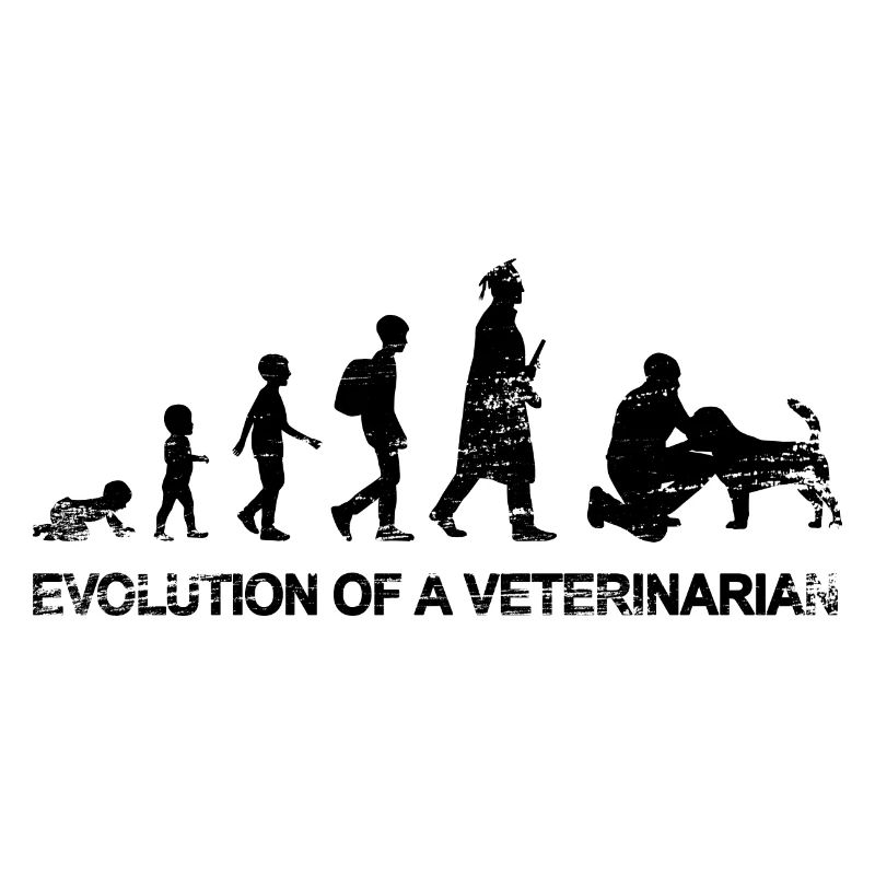 Evolution of a veterinarian