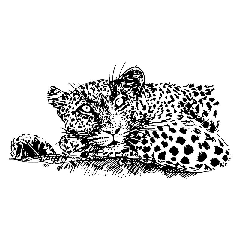 LÉOPARD