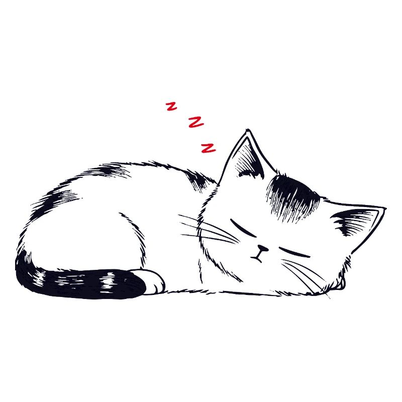Stuffy sleeping cat