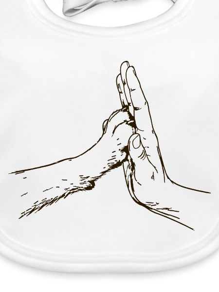 hand-pfote