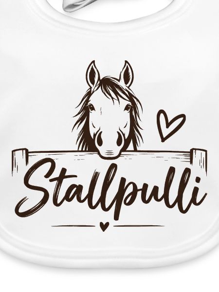 Stallpulli - Pferd - Reiterin - Stall - Pullover