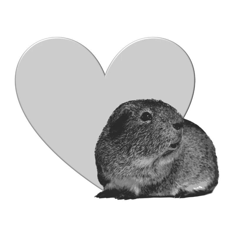 Cochon d'Inde avec coeur pour support de cochon d'Inde