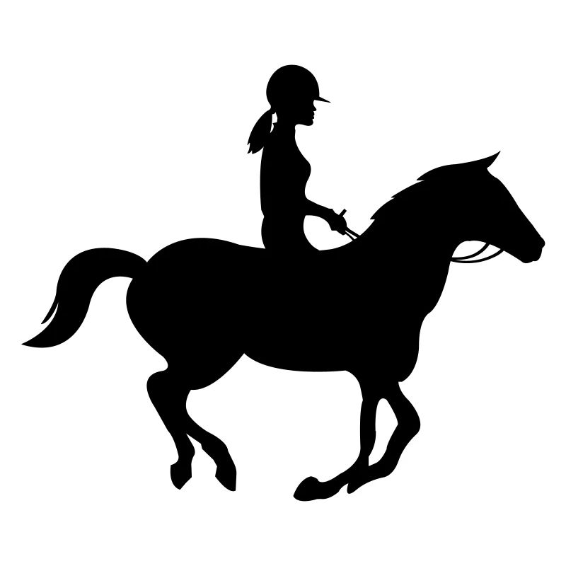 Rider