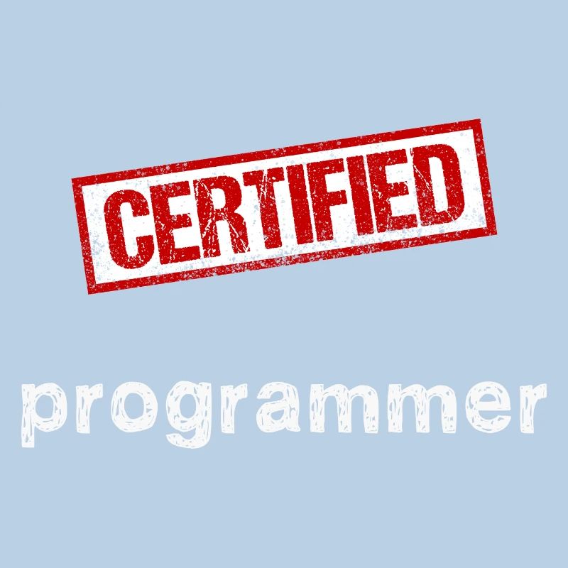 Programmeur