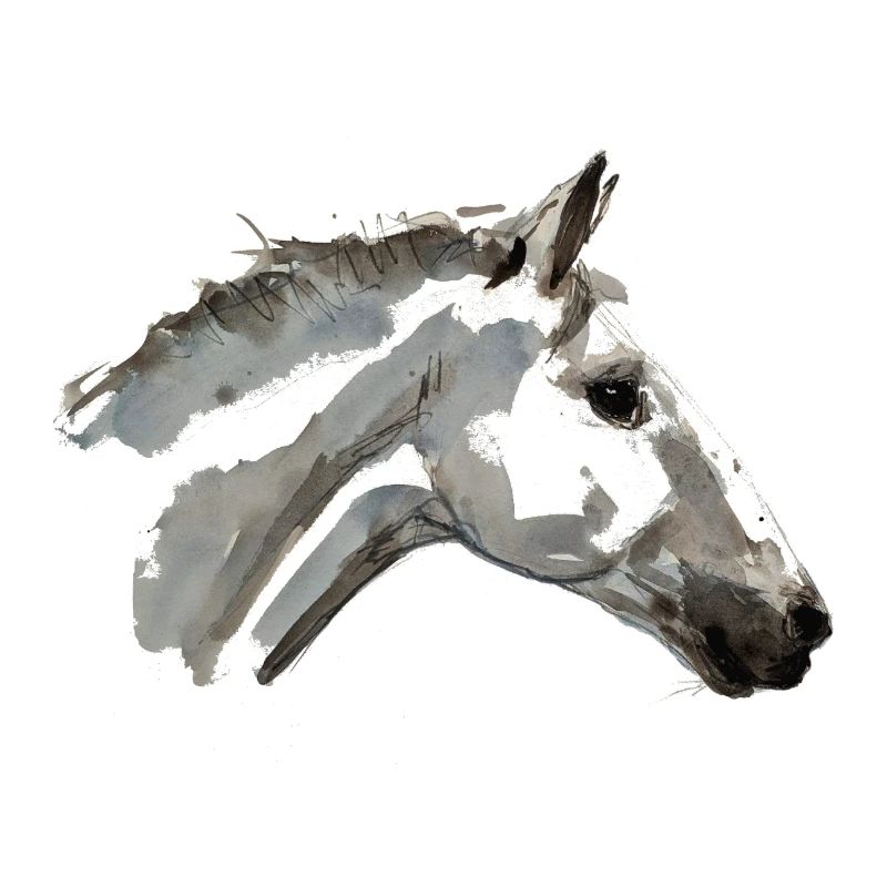 Cheval espagnol