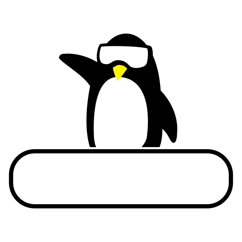 Ski instructor