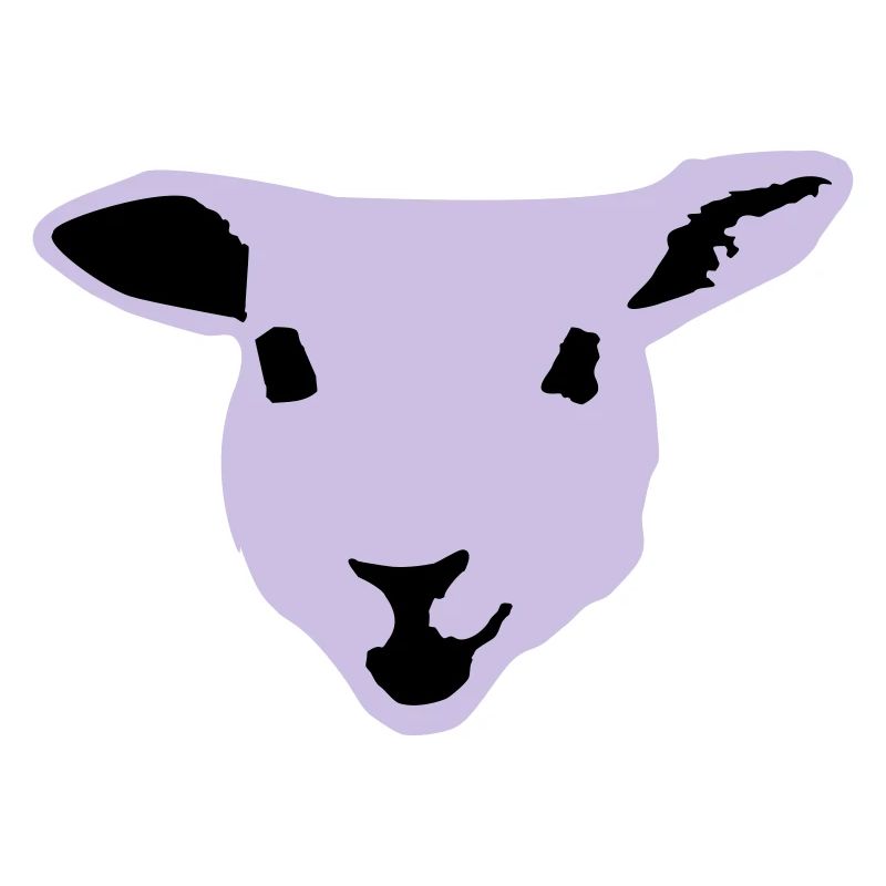 sheep, lamb