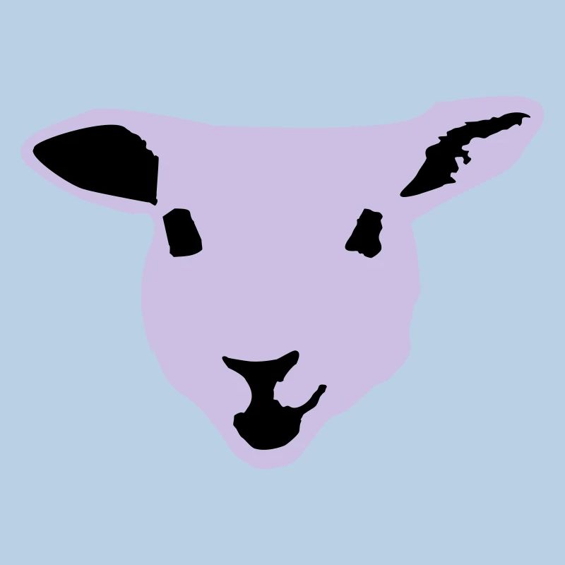 sheep, lamb