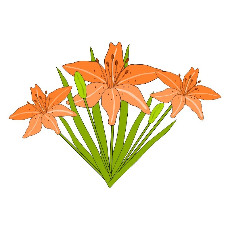 Fire Lilies