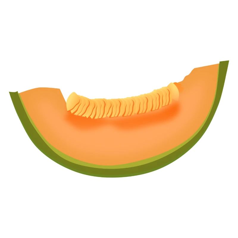 veggie pastèque pastèque melon melon gemues