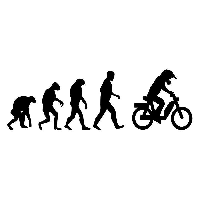 mofa evolution 15. Geburtstag