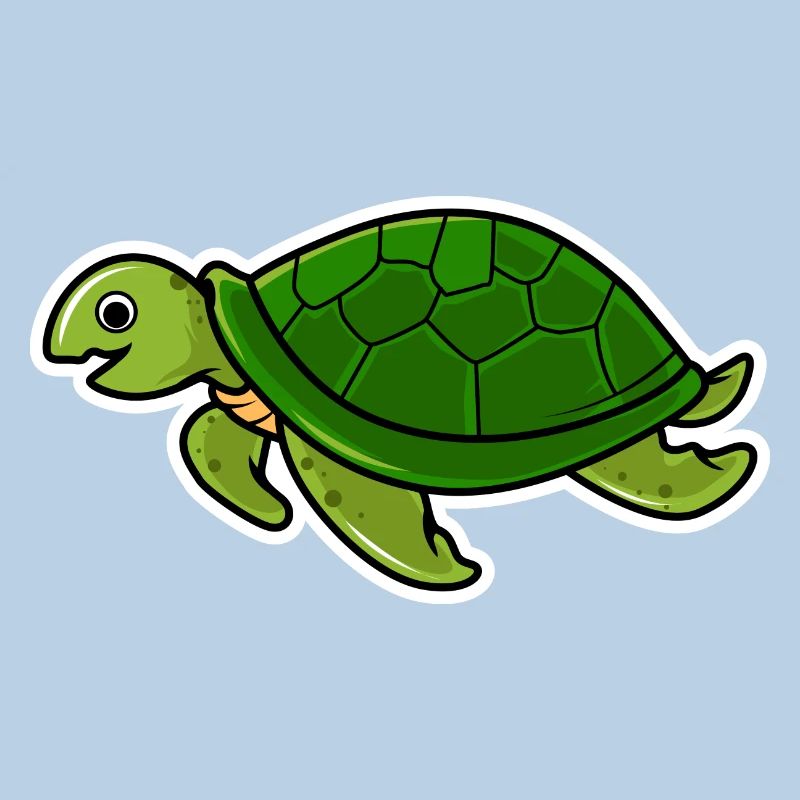 turtle