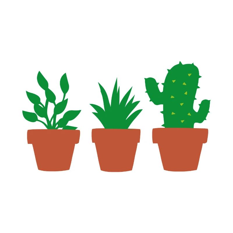 plants