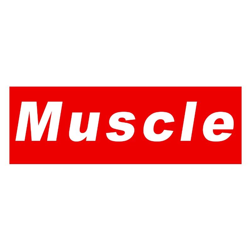 Muscle