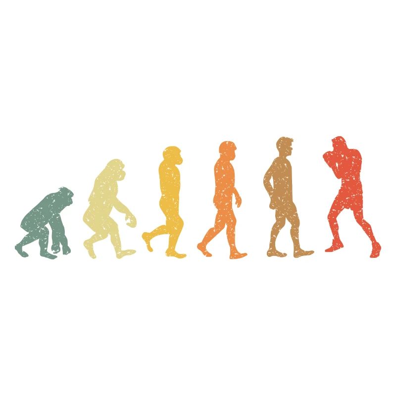 Boîtes Evolution vintage rétro