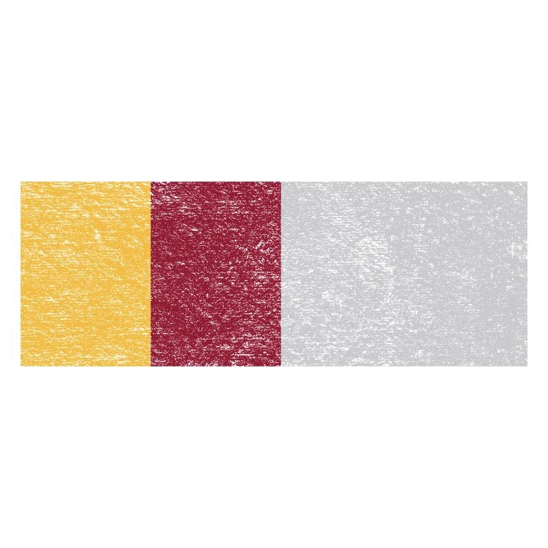Drapeau des Roms