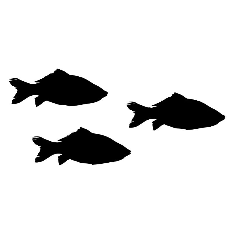 Pisces