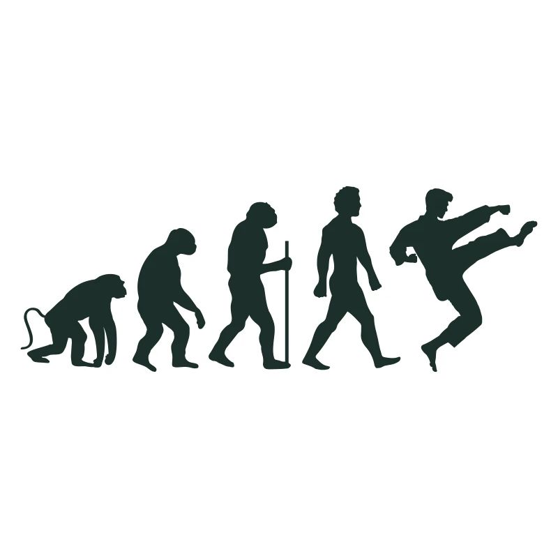karate evolution