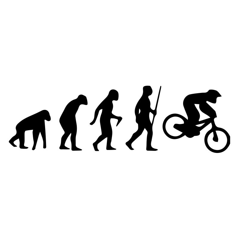 MOTORCROSS EVOLUTION
