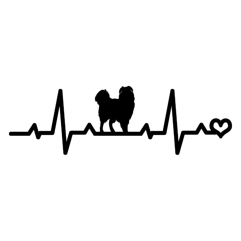 Australian Shepherd Aussie Liebe Herzfrequenz EKG