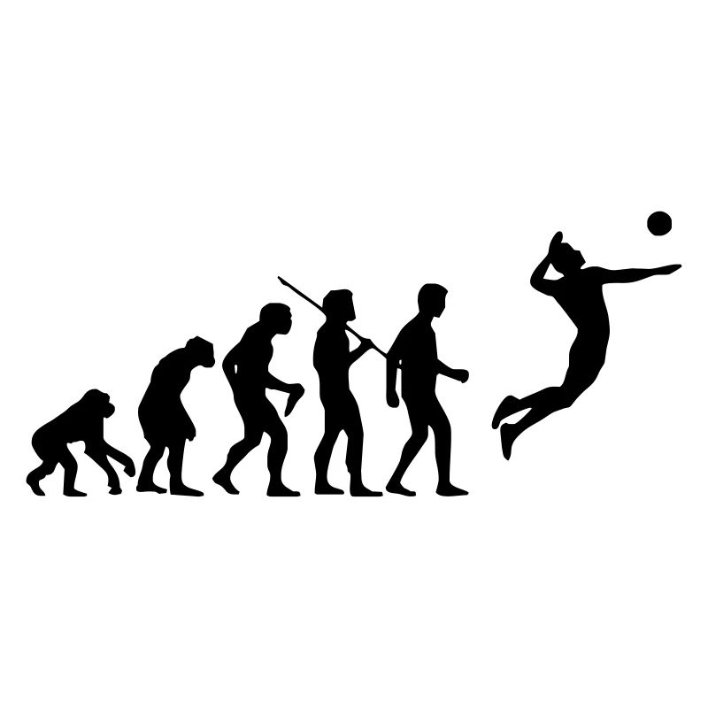 évolution de volley-ball