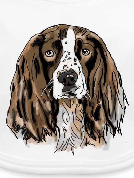 Spaniel