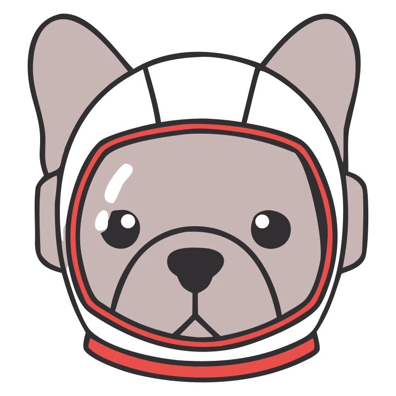 Frenchie Astronaut Helmet Space