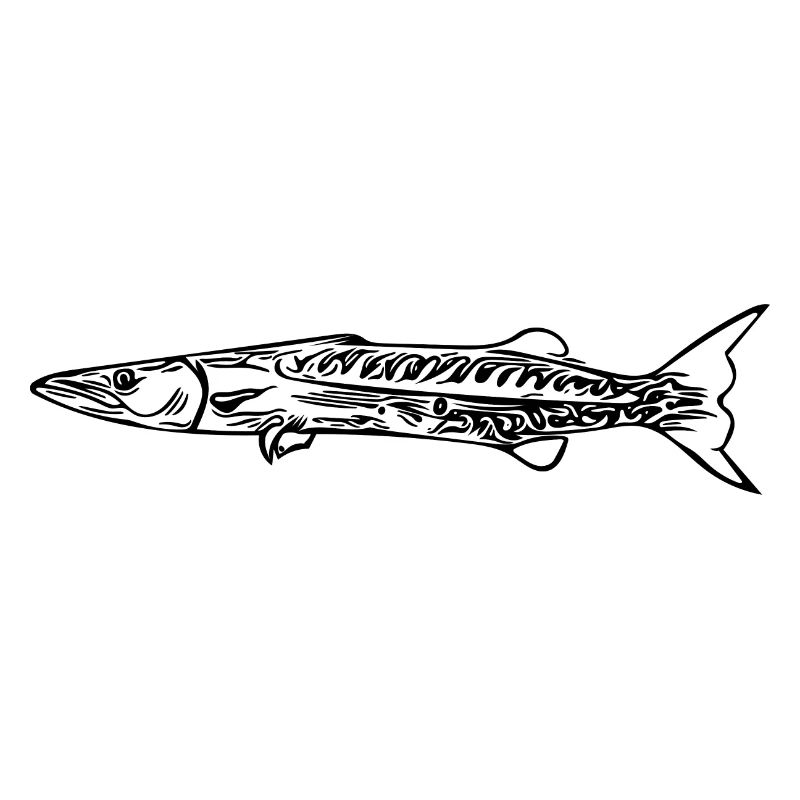 Barracuda Predator Elegant Fast Pike