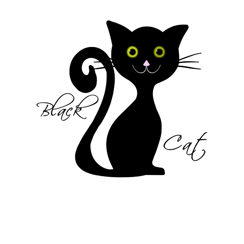 Chat noir