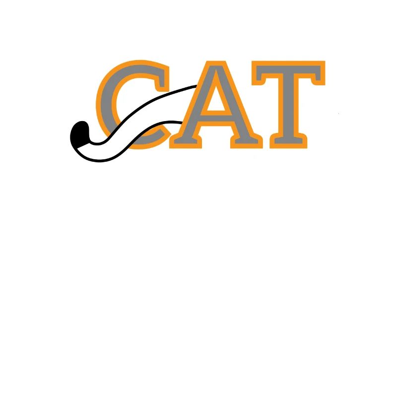 Chat, conception de chat.