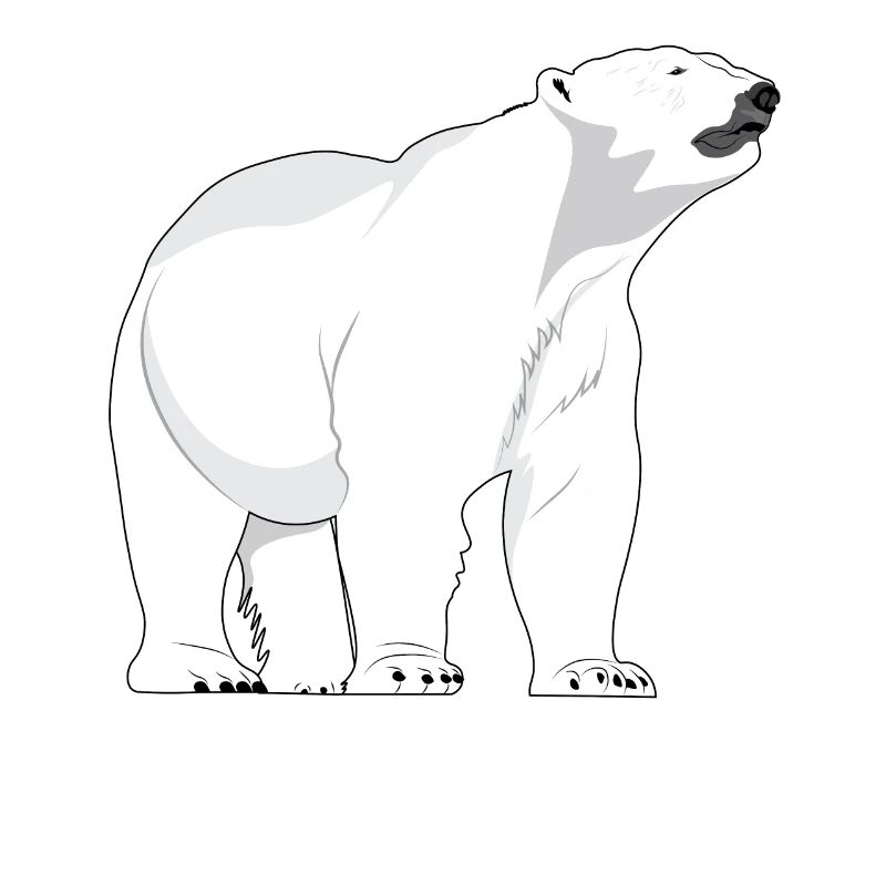 Polar bear polar bear bears