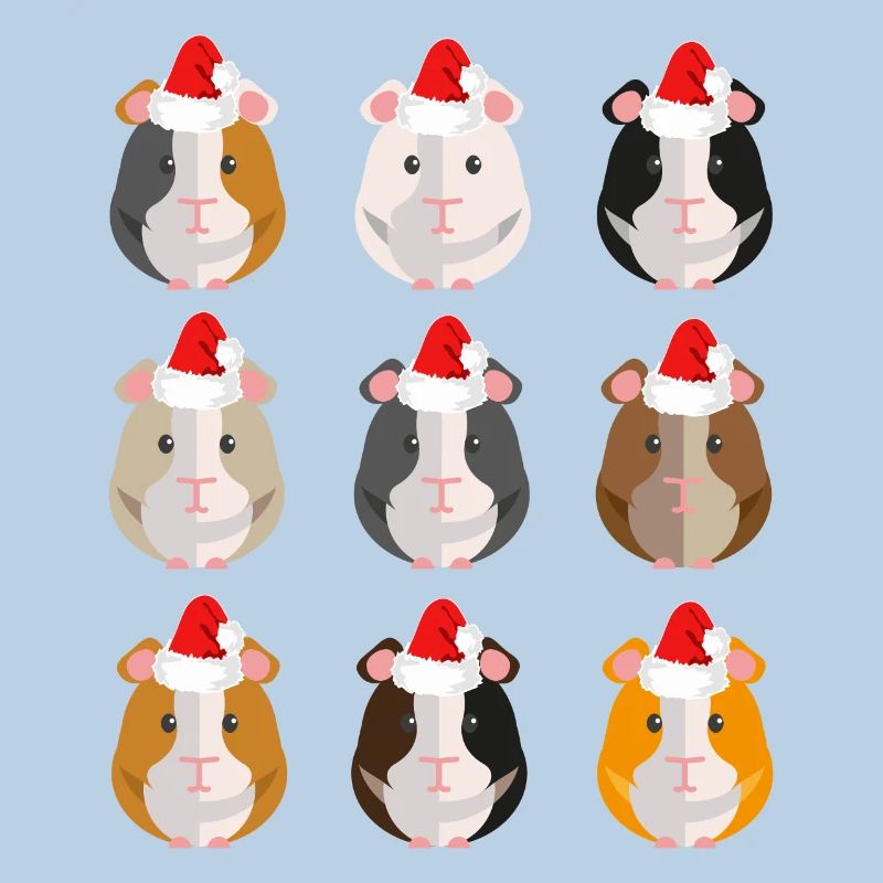 Chapeau de Noel Noel de Cochon d'Inde