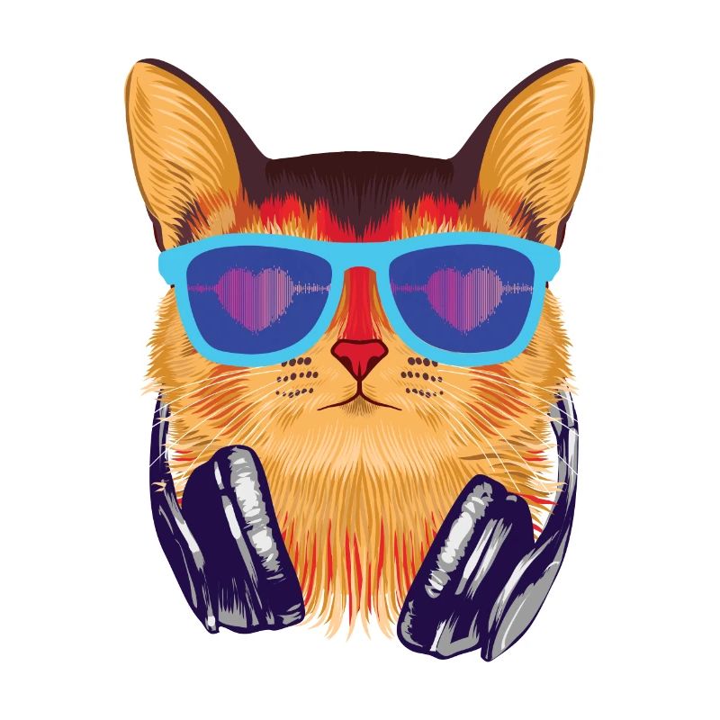 Le Coolcat