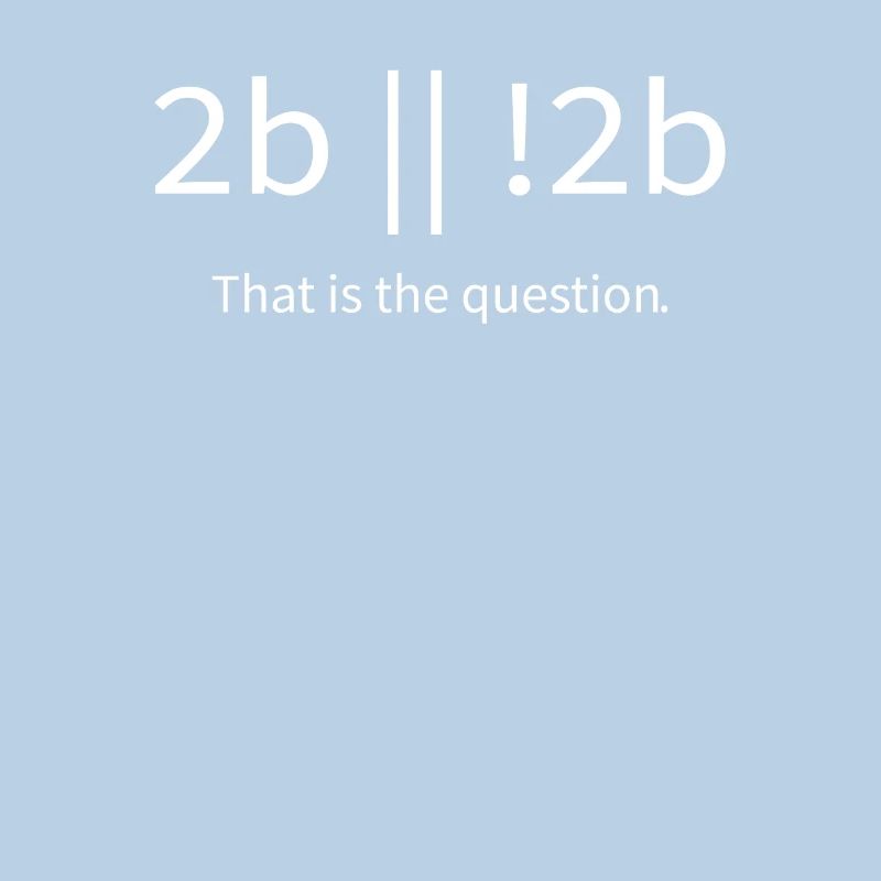 2b lustiger cooler Programmierer sein oder nicht sein