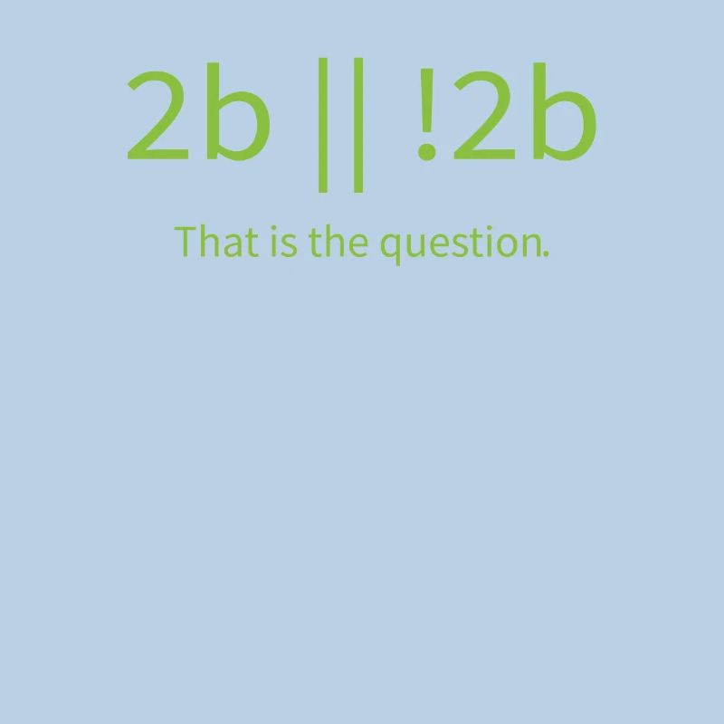 2b lustiger cooler Programmierer sein oder nicht sein