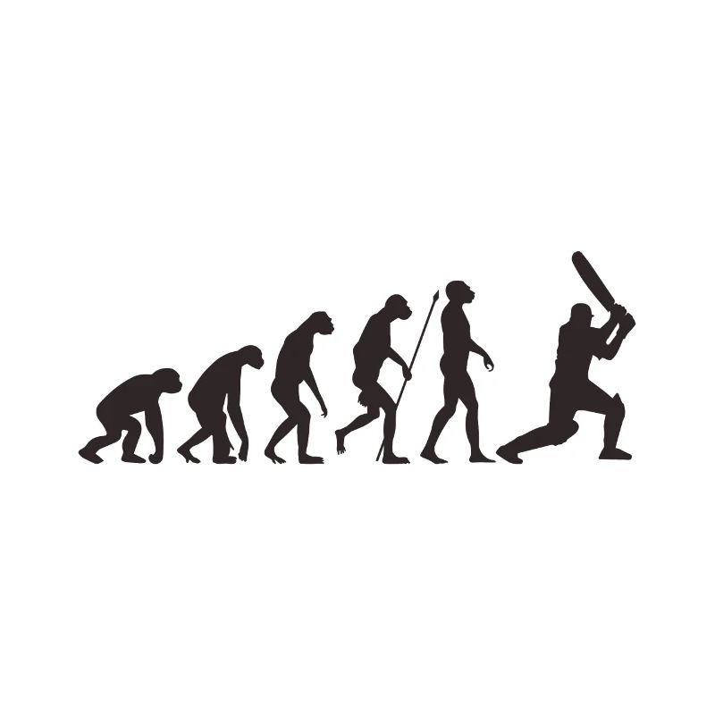 Evolution du cricket