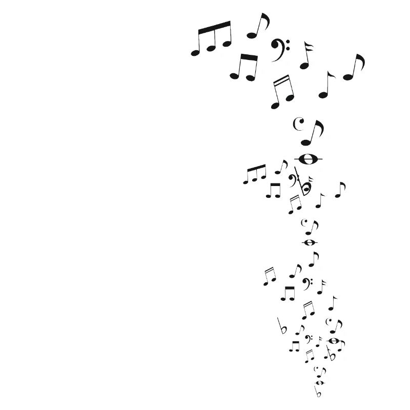 Flying Notes Black