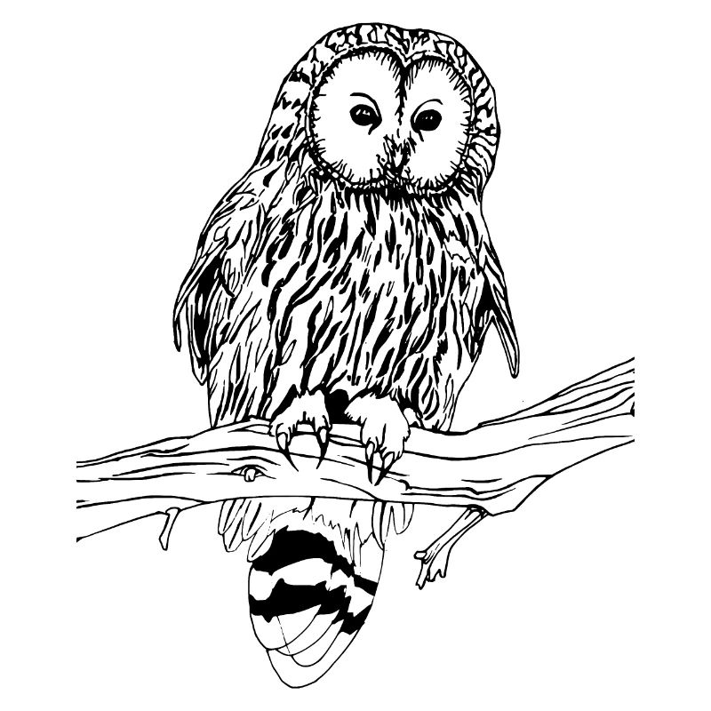 Eule