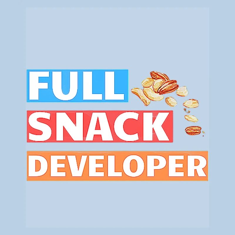 FULL SNACK DEVELOPER - DEVELOPER PUN