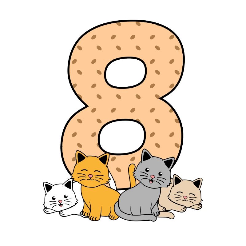 8e anniversaire