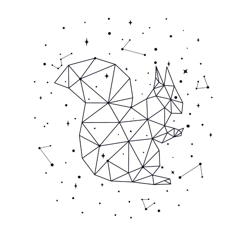 Constellation Squirrel Constellation Squirrel