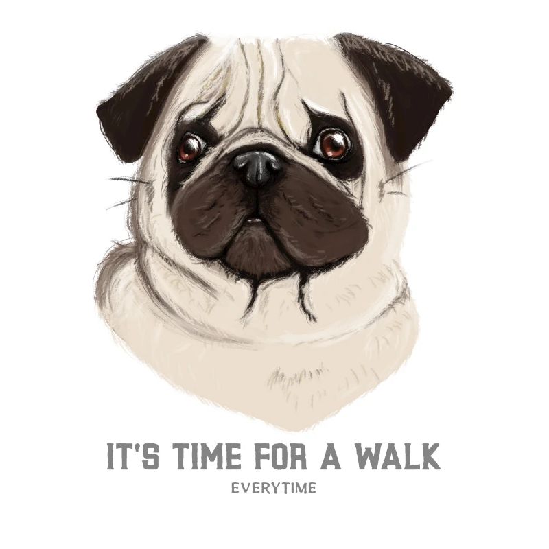 Dog Time for Walk