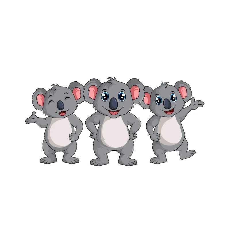 Koala Junge