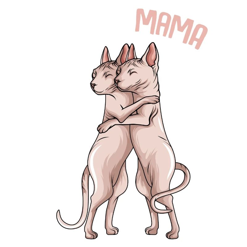 Sphynx maman chat sphinx chat sans poils chats