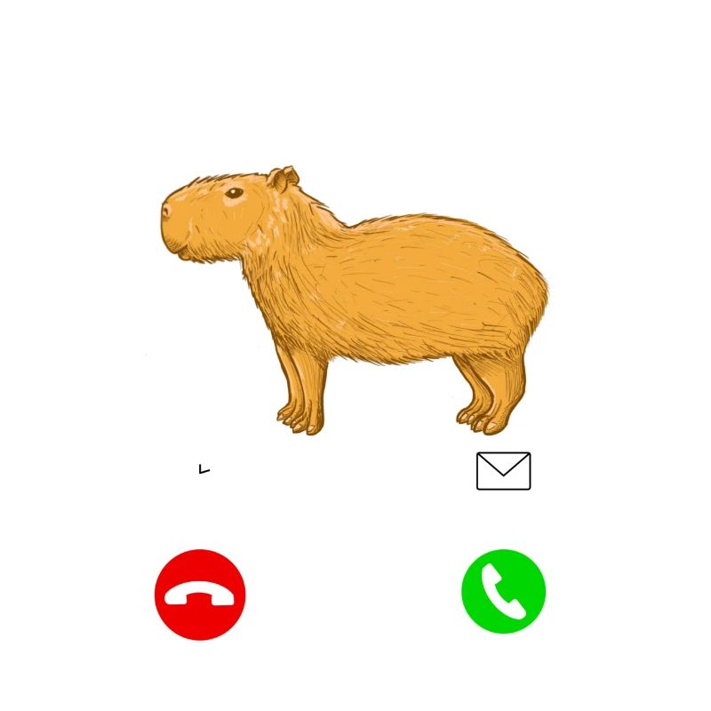 Capybara