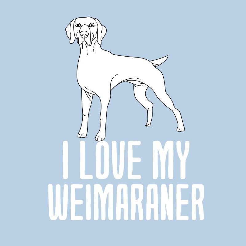 Weimaraner